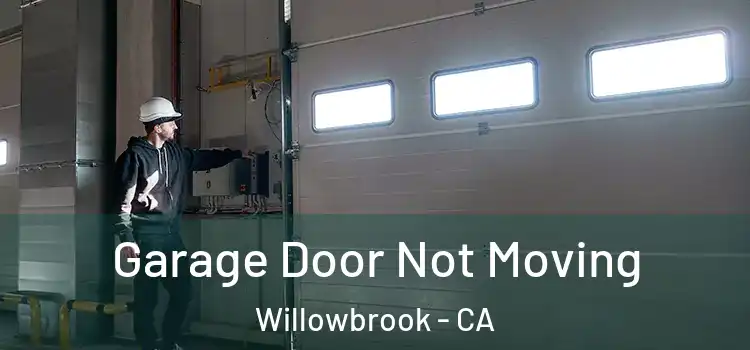  Garage Door Not Moving Willowbrook - CA
