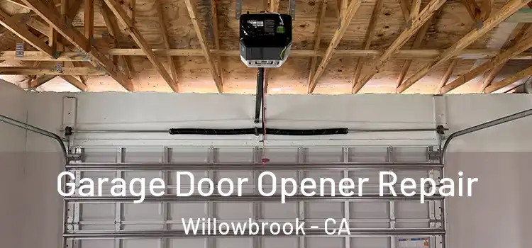  Garage Door Opener Repair Willowbrook - CA