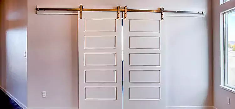 Glass Barn Door with Installation Hardware Kit Willowbrook
