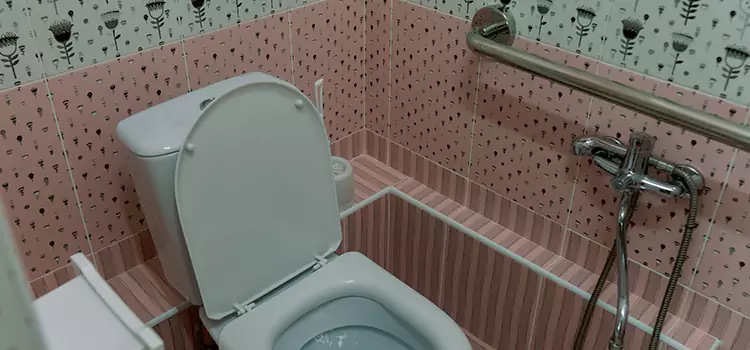 Meeting Diverse Needs With Accessible Restroom Solutions in Willowbrook, CA