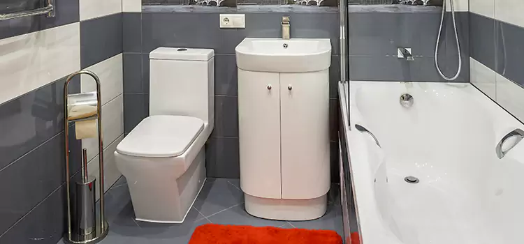 Hansgrohe Shaving Mirror Willowbrook