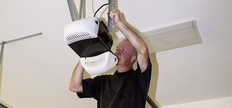 Garage Door Opener Service Willowbrook