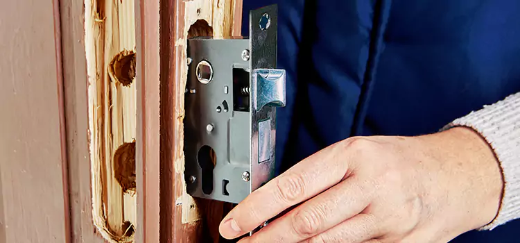 Garage Door Lock Replacement Willowbrook